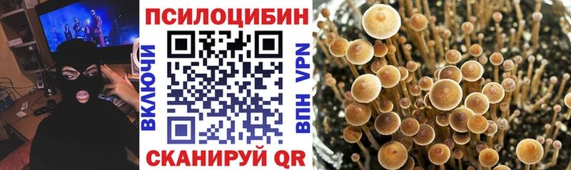 даркнет Telegram  Данилов  Галлюциногенные грибы Psilocybine cubensis  MEGA как войти 